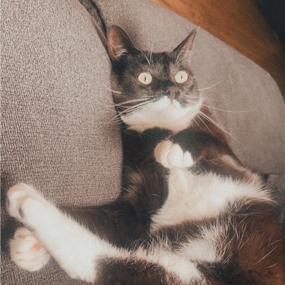 Meet your Posher, Brianna - Picture 8 of 8